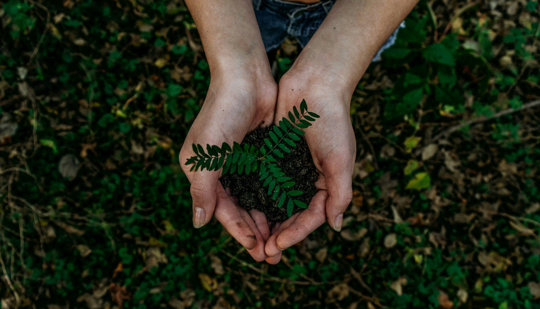 Why Is There a Growing Acceptance of Veganism?