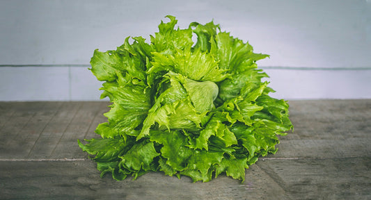 The Best Vegan Puns and Sayings: Lettuce Turnip the Beet!