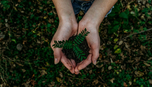 Why Is There a Growing Acceptance of Veganism?